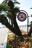 Κανένα σημάδι ανακύκλωσης με τη χλόη και τα λουλούδια δεν σταθμεύουν το υπόβαθρο στοκ εικόνα με δικαίωμα ελεύθερης χρήσης Κανένα σημάδι ανακύκλωσης με τη χλόη και τα λουλούδια δεν σταθμεύουν το υπόβαθρο στοκ εικόνα με δικαίωμα ελεύθερης χρήσης