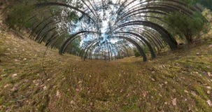 ΚΑΝΕΝΑ VR Λίγος μετασχηματισμός πλανητών με την κυρτότητα του διαστήματος πλήρες flyby πανόραμα με την άνοδο επάνω στον ουρανό το φιλμ μικρού μήκους ΚΑΝΕΝΑ VR Λίγος μετασχηματισμός πλανητών με την κυρτότητα του διαστήματος πλήρες flyby πανόραμα με την άνοδο επάνω στον ουρανό το φιλμ μικρού μήκους