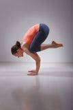 Κατάλληλο asana Bakasana γιόγκας πρακτικών γυναικών yogini στοκ εικόνα με δικαίωμα ελεύθερης χρήσης Κατάλληλο asana Bakasana γιόγκας πρακτικών γυναικών yogini στοκ εικόνα με δικαίωμα ελεύθερης χρήσης