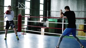 Κατάλληλα άτομα που ρίχνουν τη σφαίρα ιατρικής ο ένας στον άλλο Δύο νέοι μπόξερ που εκπαιδεύουν το ανώτερα σώμα και τα όπλα Το Wo απόθεμα βίντεο Κατάλληλα άτομα που ρίχνουν τη σφαίρα ιατρικής ο ένας στον άλλο Δύο νέοι μπόξερ που εκπαιδεύουν το ανώτερα σώμα και τα όπλα Το Wo απόθεμα βίντεο