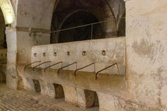 Κατανάλωση της γούρνας για τα άλογα σε Sant Ferran Castle στοκ εικόνες Κατανάλωση της γούρνας για τα άλογα σε Sant Ferran Castle στοκ εικόνες