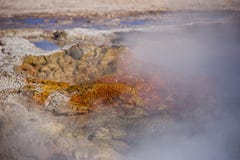 Καυτό σκουριασμένο geyser που ανατρέπει το νερό και τον ατμό στοκ φωτογραφίες με δικαίωμα ελεύθερης χρήσης Καυτό σκουριασμένο geyser που ανατρέπει το νερό και τον ατμό στοκ φωτογραφίες με δικαίωμα ελεύθερης χρήσης
