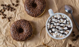 Καφές σοκολάτας donuts με το κακάο και marshmallows στοκ εικόνες Καφές σοκολάτας donuts με το κακάο και marshmallows στοκ εικόνες
