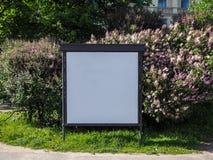 Κενός πίνακας διαφημίσεων για την υπαίθρια διαφήμιση στον κλάδο άνοιξη του ανθίζοντας ιώδους υποβάθρου στοκ εικόνες Κενός πίνακας διαφημίσεων για την υπαίθρια διαφήμιση στον κλάδο άνοιξη του ανθίζοντας ιώδους υποβάθρου στοκ εικόνες