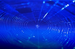 Κινηματογράφηση σε πρώτο πλάνο spiderweb με το σκούρο μπλε υπόβαθρο αφηρημένη τεχνολογία δικτύων σύνδεσης ανασκόπησης Στοκ φωτογραφία με δικαίωμα ελεύθερης χρήσης Κινηματογράφηση σε πρώτο πλάνο spiderweb με το σκούρο μπλε υπόβαθρο αφηρημένη τεχνολογία δικτύων σύνδεσης ανασκόπησης Στοκ φωτογραφία με δικαίωμα ελεύθερης χρήσης