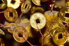 Κινηματογράφηση σε πρώτο πλάνο ενός χρυσού νομίσματος με τα σημάδια σε ένα δέντρο χρημάτων στοκ εικόνα Κινηματογράφηση σε πρώτο πλάνο ενός χρυσού νομίσματος με τα σημάδια σε ένα δέντρο χρημάτων στοκ εικόνα