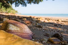 Κινηματογράφηση σε πρώτο πλάνο του ζωηρόχρωμου κόκκινου βράχου στην αμμώδη παραλία κοντά σε Δαρβίνο στοκ εικόνες Κινηματογράφηση σε πρώτο πλάνο του ζωηρόχρωμου κόκκινου βράχου στην αμμώδη παραλία κοντά σε Δαρβίνο στοκ εικόνες