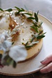 Κλασικό cheesecake με τα εορταστικά κεριά στοκ εικόνες με δικαίωμα ελεύθερης χρήσης Κλασικό cheesecake με τα εορταστικά κεριά στοκ εικόνες με δικαίωμα ελεύθερης χρήσης