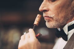 κλείστε επάνω Παλαιό πεπειραμένο πιό sommelier πώμα κρασιού μυρωδιών στο ανοιχτήρι, γούστο αξιολόγησης του ποτού στοκ εικόνα κλείστε επάνω Παλαιό πεπειραμένο πιό sommelier πώμα κρασιού μυρωδιών στο ανοιχτήρι, γούστο αξιολόγησης του ποτού στοκ εικόνα