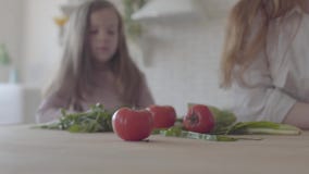 Κλείστε επάνω τα λαχανικά, τις ντομάτες, το κρεμμύδι και τα πράσινα στον πίνακα Σκιαγραφία της γυναίκας και του μικρού κοριτσιού φιλμ μικρού μήκους Κλείστε επάνω τα λαχανικά, τις ντομάτες, το κρεμμύδι και τα πράσινα στον πίνακα Σκιαγραφία της γυναίκας και του μικρού κοριτσιού φιλμ μικρού μήκους