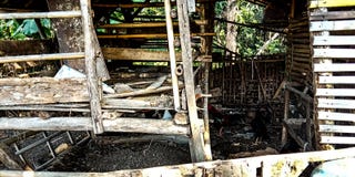 Κλουβιά αιγών που είναι ορατά από κοντά στοκ εικόνες Κλουβιά αιγών που είναι ορατά από κοντά στοκ εικόνες