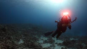 Κολύμβηση δυτών καμεραμάν βαθιά υποβρύχια στη Ερυθρά Θάλασσα απόθεμα βίντεο Κολύμβηση δυτών καμεραμάν βαθιά υποβρύχια στη Ερυθρά Θάλασσα απόθεμα βίντεο