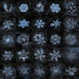 Κολάζ με 25 πραγματικές snowflake μακρο φωτογραφίες στοκ φωτογραφίες με δικαίωμα ελεύθερης χρήσης Κολάζ με 25 πραγματικές snowflake μακρο φωτογραφίες στοκ φωτογραφίες με δικαίωμα ελεύθερης χρήσης