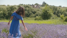 Κομψή γυναίκα ήπια σχετικά με την άνθιση lavander απόθεμα βίντεο Κομψή γυναίκα ήπια σχετικά με την άνθιση lavander απόθεμα βίντεο
