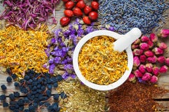 Κονίαμα των ξηρών marigold λουλουδιών, των υγιών χορταριών και του βοτανικού τσαγιού Στοκ Φωτογραφία Κονίαμα των ξηρών marigold λουλουδιών, των υγιών χορταριών και του βοτανικού τσαγιού Στοκ Φωτογραφία