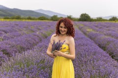 Κορίτσι σε έναν lavender τομέα στοκ εικόνες Κορίτσι σε έναν lavender τομέα στοκ εικόνες