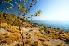 Κορυφή ενός βουνού που καλύπτεται με τα δέντρα και τη χλόη Τοπίο φθινοπώρου στοκ εικόνες με δικαίωμα ελεύθερης χρήσης Κορυφή ενός βουνού που καλύπτεται με τα δέντρα και τη χλόη Τοπίο φθινοπώρου στοκ εικόνες με δικαίωμα ελεύθερης χρήσης