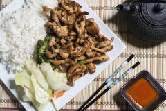 Κοτόπουλο Teriyaki με το ρύζι σε ένα άσπρο πιάτο στοκ εικόνες Κοτόπουλο Teriyaki με το ρύζι σε ένα άσπρο πιάτο στοκ εικόνες