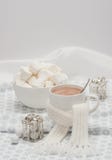 Κούπα της καυτής σοκολάτας με το μαντίλι Marshmallows και στοκ εικόνες Κούπα της καυτής σοκολάτας με το μαντίλι Marshmallows και στοκ εικόνες