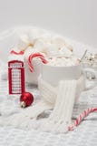 Κούπα της καυτής σοκολάτας με το μαντίλι Marshmallows και Στοκ Εικόνα Κούπα της καυτής σοκολάτας με το μαντίλι Marshmallows και Στοκ Εικόνα