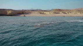 Κρύσταλλο - σαφή βαθιά νερά της Ερυθράς Θάλασσας και η εγκαταλειμμένη ακτή του νησιού κίνηση αργή φιλμ μικρού μήκους Κρύσταλλο - σαφή βαθιά νερά της Ερυθράς Θάλασσας και η εγκαταλειμμένη ακτή του νησιού κίνηση αργή φιλμ μικρού μήκους