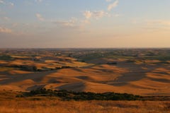 Κυλώντας λόφοι του Palouse που βλέπει από το λόφο Steptoe στοκ φωτογραφίες με δικαίωμα ελεύθερης χρήσης Κυλώντας λόφοι του Palouse που βλέπει από το λόφο Steptoe στοκ φωτογραφίες με δικαίωμα ελεύθερης χρήσης