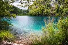 Λίμνες καταρρακτών με το τυρκουάζ νερό μεταξύ των βράχων στα ξύλα Plitvice, εθνικό πάρκο, Κροατία στοκ εικόνα με δικαίωμα ελεύθερης χρήσης Λίμνες καταρρακτών με το τυρκουάζ νερό μεταξύ των βράχων στα ξύλα Plitvice, εθνικό πάρκο, Κροατία στοκ εικόνα με δικαίωμα ελεύθερης χρήσης