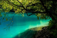Λίμνη και δέντρα στην κοιλάδα Jiuzhaigou, Sichuan, Κίνα στοκ φωτογραφία Λίμνη και δέντρα στην κοιλάδα Jiuzhaigou, Sichuan, Κίνα στοκ φωτογραφία