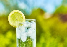 Λαμπιρίζοντας φέτα νερού και λεμονιών Στοκ φωτογραφίες με δικαίωμα ελεύθερης χρήσης Λαμπιρίζοντας φέτα νερού και λεμονιών Στοκ φωτογραφίες με δικαίωμα ελεύθερης χρήσης