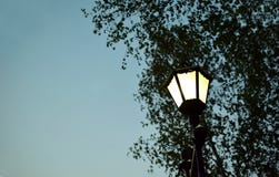 Λαμπτήρας οδών σε ένα υπόβαθρο των φύλλων ενός δέντρου στοκ εικόνες Λαμπτήρας οδών σε ένα υπόβαθρο των φύλλων ενός δέντρου στοκ εικόνες