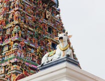 Λεπτομέρειες του ινδικού ναού Kapaleeswarar, Chennai, Ινδία στοκ εικόνα με δικαίωμα ελεύθερης χρήσης Λεπτομέρειες του ινδικού ναού Kapaleeswarar, Chennai, Ινδία στοκ εικόνα με δικαίωμα ελεύθερης χρήσης