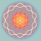 Λουλούδι της mandala-χρήσης άνοιξη σπόρου ζωής για το σχέδιο και την περισυλλογή ελεύθερη απεικόνιση δικαιώματος Λουλούδι της mandala-χρήσης άνοιξη σπόρου ζωής για το σχέδιο και την περισυλλογή ελεύθερη απεικόνιση δικαιώματος