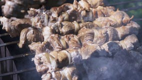 Μάγειρας Shish Kebab στον ορειχαλκουργό απόθεμα βίντεο Μάγειρας Shish Kebab στον ορειχαλκουργό απόθεμα βίντεο