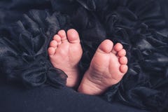 Μαλακά νεογέννητα πόδια μωρών ενάντια σε ένα μαύρο κάλυμμα στοκ φωτογραφίες με δικαίωμα ελεύθερης χρήσης Μαλακά νεογέννητα πόδια μωρών ενάντια σε ένα μαύρο κάλυμμα στοκ φωτογραφίες με δικαίωμα ελεύθερης χρήσης