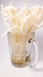 Μανιτάρι Enoki σε ένα γυαλί στοκ φωτογραφία με δικαίωμα ελεύθερης χρήσης Μανιτάρι Enoki σε ένα γυαλί στοκ φωτογραφία με δικαίωμα ελεύθερης χρήσης