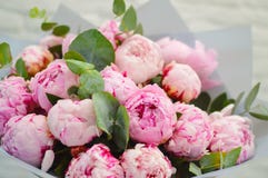 Μεγάλη όμορφη ανθοδέσμη των ρόδινων peonies στοκ εικόνες Μεγάλη όμορφη ανθοδέσμη των ρόδινων peonies στοκ εικόνες