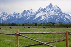 μεγάλο εθνικό πάρκο teton στοκ φωτογραφίες μεγάλο εθνικό πάρκο teton στοκ φωτογραφίες