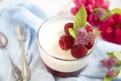 Μεγάλο επιδόρπιο panacotta με τα σμέουρα, σε ένα μπλε υπόβαθρο και ένα εκλεκτής ποιότητας κουτάλι και ένα δίκρανο στοκ φωτογραφίες με δικαίωμα ελεύθερης χρήσης Μεγάλο επιδόρπιο panacotta με τα σμέουρα, σε ένα μπλε υπόβαθρο και ένα εκλεκτής ποιότητας κουτάλι και ένα δίκρανο στοκ φωτογραφίες με δικαίωμα ελεύθερης χρήσης