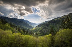 Μεγάλο καπνώές εθνικό πάρκο Gatlinburg TN βουνών στοκ φωτογραφίες με δικαίωμα ελεύθερης χρήσης Μεγάλο καπνώές εθνικό πάρκο Gatlinburg TN βουνών στοκ φωτογραφίες με δικαίωμα ελεύθερης χρήσης