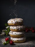 Μερικά εύγευστα donuts το ένα στο άλλο με το μούρο κερασιών στο σκοτεινό υπόβαθρο ζωηρόχρωμο ψεκάζουν το μέτωπο στοκ εικόνες με δικαίωμα ελεύθερης χρήσης Μερικά εύγευστα donuts το ένα στο άλλο με το μούρο κερασιών στο σκοτεινό υπόβαθρο ζωηρόχρωμο ψεκάζουν το μέτωπο στοκ εικόνες με δικαίωμα ελεύθερης χρήσης