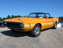 μετατρέψιμος shelby στοκ εικόνες μετατρέψιμος shelby στοκ εικόνες