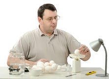 Μηχανικός Phytocontrol που ζυγίζει τα άσπρα αυγά κοτόπουλου Στοκ Εικόνα Μηχανικός Phytocontrol που ζυγίζει τα άσπρα αυγά κοτόπουλου Στοκ Εικόνα