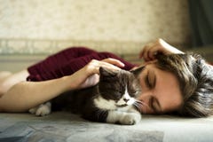 Μια γυναίκα και ένα μικρό γραπτό βρετανικό γατάκι βρίσκονται στον καναπέ στοκ φωτογραφία Μια γυναίκα και ένα μικρό γραπτό βρετανικό γατάκι βρίσκονται στον καναπέ στοκ φωτογραφία