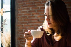 Μια γυναίκα ψωνίζει στο διαδίκτυο βάζοντας το μικρό χαμόγελο στο πρόσωπό της στοκ εικόνες Μια γυναίκα ψωνίζει στο διαδίκτυο βάζοντας το μικρό χαμόγελο στο πρόσωπό της στοκ εικόνες