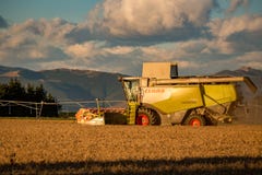 Μια θεριστική μηχανή Claas που λειτουργεί σε έναν αγροτικό τομέα σε ένα θερινό βράδυ στοκ εικόνα Μια θεριστική μηχανή Claas που λειτουργεί σε έναν αγροτικό τομέα σε ένα θερινό βράδυ στοκ εικόνα