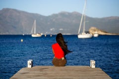 Μια μόνη νέα γυναίκα brunette στην κόκκινη συνεδρίαση με πίσω στην ξύλινη αποβάθρα, seascape θαυμασμού του νησιού της Κορσικής στοκ φωτογραφία με δικαίωμα ελεύθερης χρήσης Μια μόνη νέα γυναίκα brunette στην κόκκινη συνεδρίαση με πίσω στην ξύλινη αποβάθρα, seascape θαυμασμού του νησιού της Κορσικής στοκ φωτογραφία με δικαίωμα ελεύθερης χρήσης