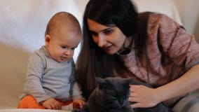 Μια νέες ευτυχείς γυναίκα και λίγος γιος μια γάτα και χαμογελούν το σε αργή κίνηση πυροβολισμό φιλμ μικρού μήκους Μια νέες ευτυχείς γυναίκα και λίγος γιος μια γάτα και χαμογελούν το σε αργή κίνηση πυροβολισμό φιλμ μικρού μήκους
