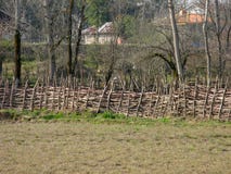 Μια φωτογραφία του τομέα, Ιράν, Gilan, Ασία στοκ εικόνες με δικαίωμα ελεύθερης χρήσης Μια φωτογραφία του τομέα, Ιράν, Gilan, Ασία στοκ εικόνες με δικαίωμα ελεύθερης χρήσης
