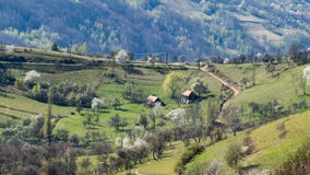 Μια όμορφη άποψη της ρουμανικής επαρχίας μια θερμή ημέρα της άνοιξη στοκ εικόνα με δικαίωμα ελεύθερης χρήσης Μια όμορφη άποψη της ρουμανικής επαρχίας μια θερμή ημέρα της άνοιξη στοκ εικόνα με δικαίωμα ελεύθερης χρήσης