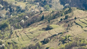 Μια όμορφη άποψη της ρουμανικής επαρχίας μια θερμή ημέρα της άνοιξη στοκ εικόνες με δικαίωμα ελεύθερης χρήσης Μια όμορφη άποψη της ρουμανικής επαρχίας μια θερμή ημέρα της άνοιξη στοκ εικόνες με δικαίωμα ελεύθερης χρήσης